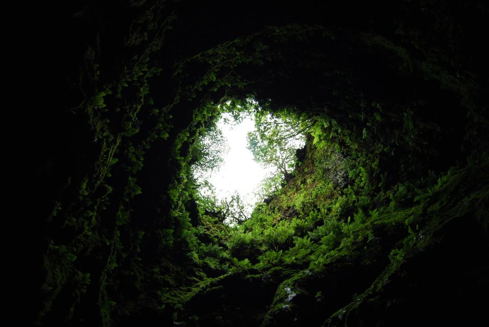 Private Caves Tour With a Geologist - Key Points