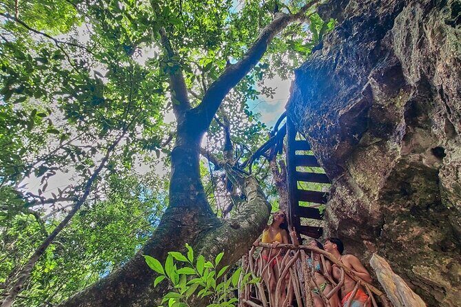 Private Cenote Experience, swim in the heart of the Mayan Jungle - Key Points