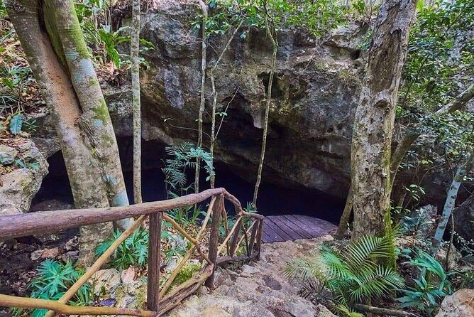 Private Cenote Experience, swim in the heart of the Mayan Jungle - What Makes This Tour Stand Out?