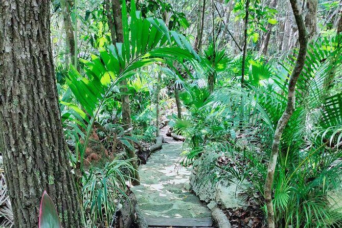 Private Cenote Experience, swim in the heart of the Mayan Jungle - The Sum Up