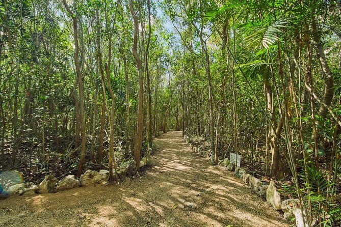 Private Cenote Experience, swim in the heart of the Mayan Jungle - FAQ