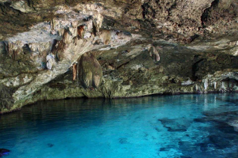 Private Cenote Exploration - Maya Culture, Fossils & Fun - Guided Exploration