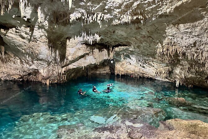 Private Cenote Snorkeling Tour Tulums Hidden Gems - The Sum Up