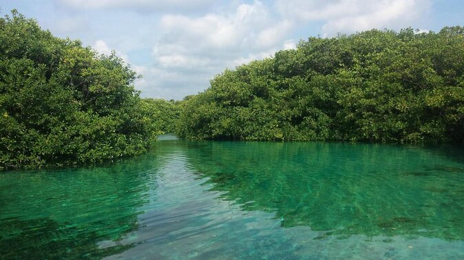 Private Cenotes Tour - Key Points