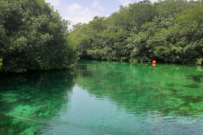 Private Cenotes Tour - Exploring Cave and Open Cenotes