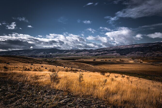 Private Central Otago Wine tasting Tour with Gourmet Lunch. - FAQ