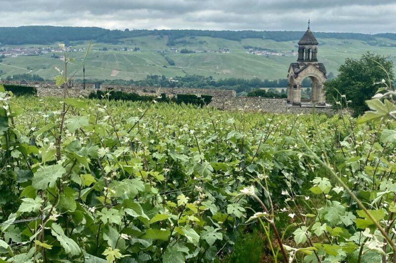 Private Champagne Ruinart, Moet Chandon VIP Tour by Mercedes - Ruinart Champagne Experience