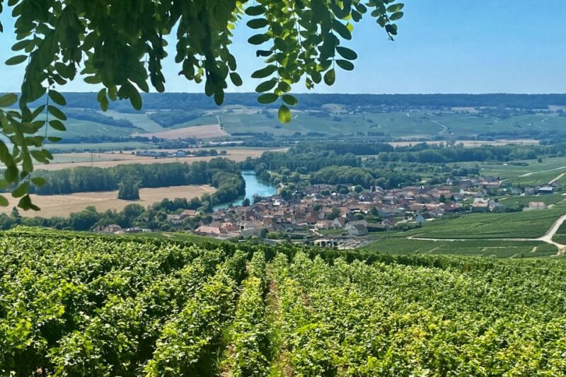 Private Champagne Ruinart, Moet Chandon VIP Tour by Mercedes - Frequently Asked Questions