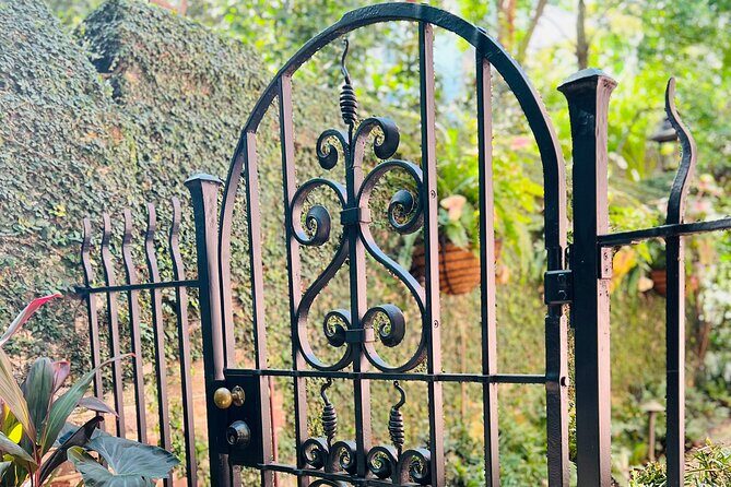 Private Charleston Hidden Alleys and Pathways Walking Tour - Who Should Book This Tour?