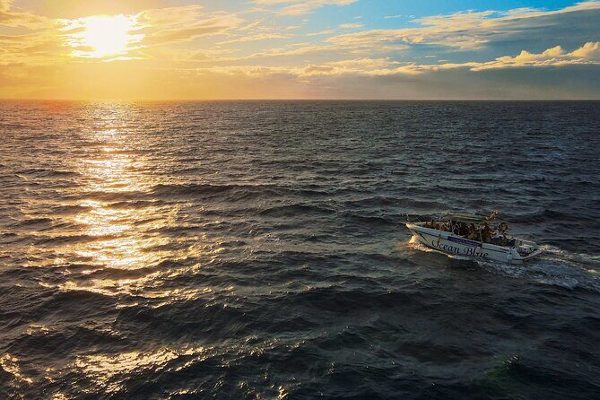 Private Charter 2 Hours Whale Watching Puerto Colon Adeje - Authenticity and Past Traveler Feedback