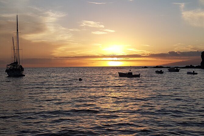 Private Charter 2 Hours Whale Watching Puerto Colon Adeje - Who Should Consider This Tour?