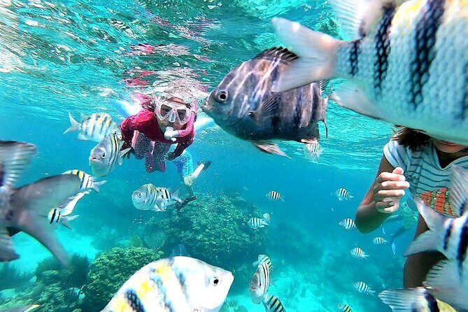 Private Charter 28ft Grady White. Stingrays, Snorkeling, Starfish - What the Reviews Say