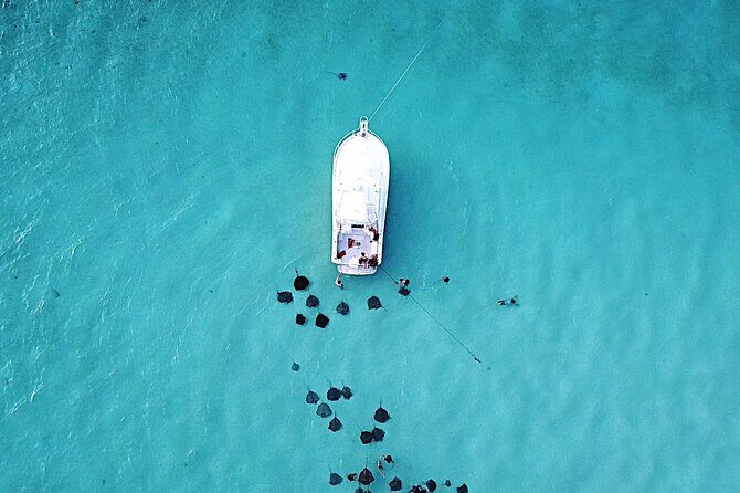 Private Charter 34ft Express Cruiser Stingay City Reef Snorkeling - A Deep Dive into the Experience