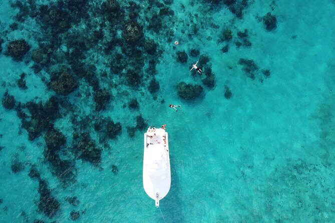 Private Charter 34ft Express Cruiser Stingay City Reef Snorkeling - Frequently Asked Questions