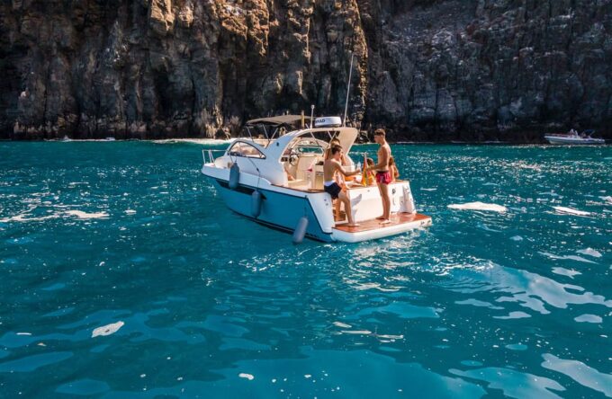 Private Charter 3h - Marine Life Sightings
