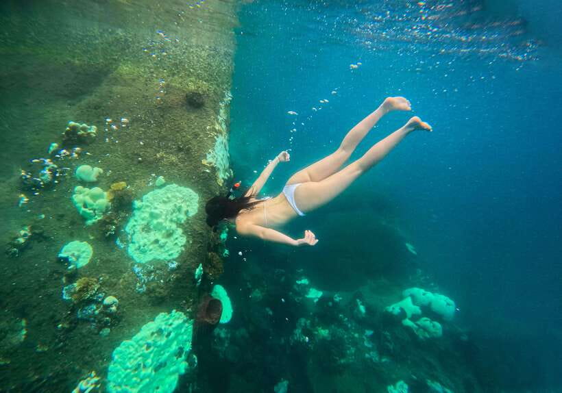 Private Charter Boat Around Koh Tao Snorkel Paradise - Pickup and Transportation