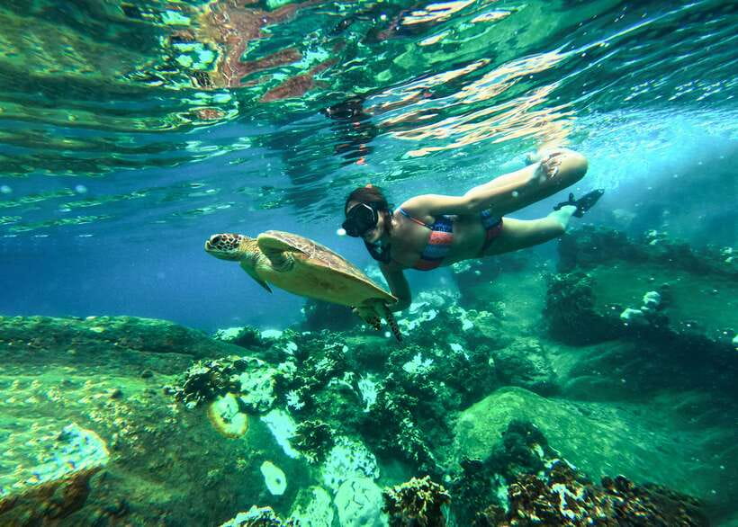 Private Charter Boat Around Koh Tao Snorkel Paradise - Important Considerations