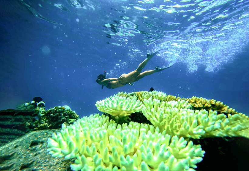 Private Charter Boat Around Koh Tao Snorkel Paradise - Frequently Asked Questions