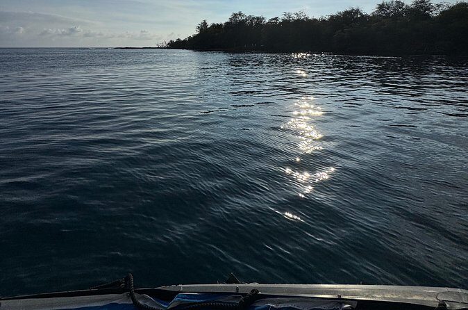 Private Charter Custom Kealakekua Bay Snorkeling - Who Will Love This Tour?