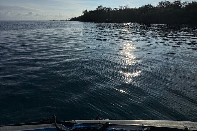 Private Charter Custom Kealakekua Bay Snorkeling - FAQ