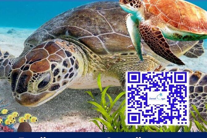 Private Charter for snorkeling, swimming pigs, turtles & fishing.... - Activities and Stops: The Good and the Not-So-Good