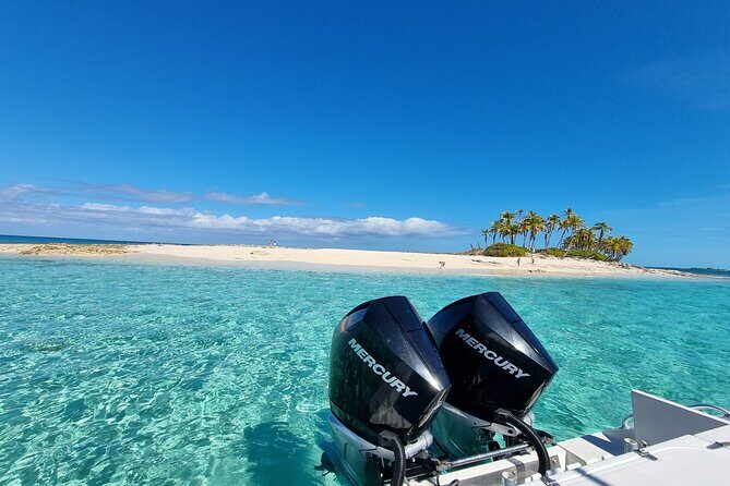 Private Charter for snorkeling, swimming pigs, turtles & fishing.... - The Sum Up