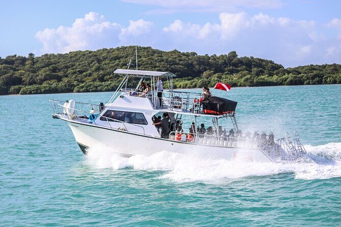 Private Charter - Icacos Island Snorkel and Boat Tour - Frequently Asked Questions