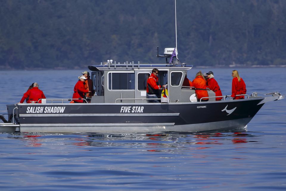 Private Charter - Marine Life and Whale-Watching Boat Tour - Whale and Marine Wildlife Sighting