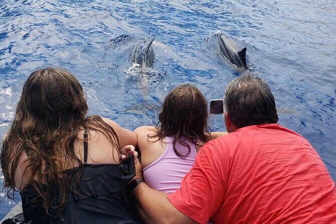 Private Charter Morning Snorkel and Wildlife Watch. Up to 18 Pax - Engaging Review of the Private Morning Snorkel and Wildlife Watch Tour on Big Island