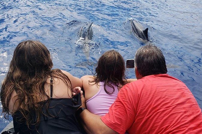 Private Charter Morning Snorkel and Wildlife Watch. Up to 18 Pax - Value and Pricing Considerations