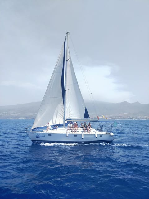 Private Charter on Sailboat - Coastal Trip With Snorkeling in the Bay - Activity Overview