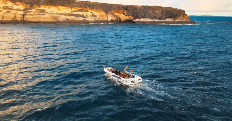 Private Charter Private Charter to See the Whales - 2 Hours - Key Points