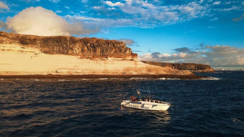 Private Charter Private Charter to See the Whales - 2 Hours - Pricing and Reservation