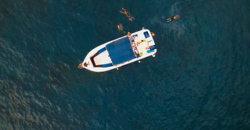 Private Charter Private Charter to See the Whales - 3 Hours - Itinerary and Meeting Point