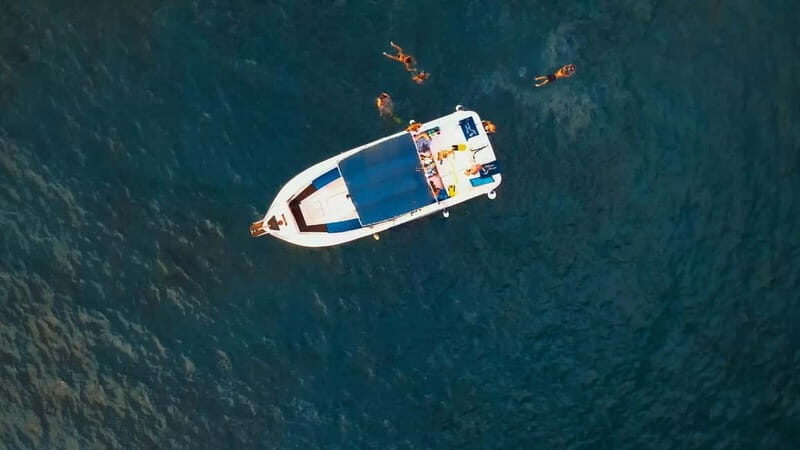 Private Charter Private Charter to see the whales - 3 Hours - Key Points