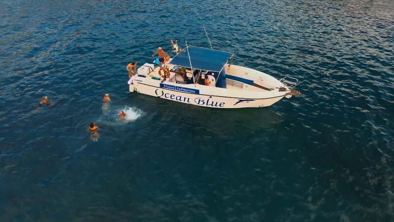 Private Charter Private Charter to see the whales - 3 Hours - An Honest Look at the Tenerife Whale Watching Private Tour