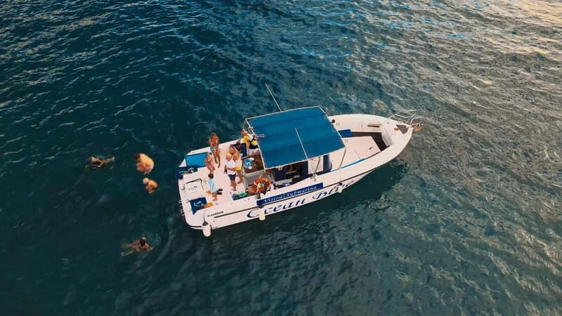 Private Charter Private Charter to see the whales - 3 Hours - Final Thoughts: Is It Worth It?