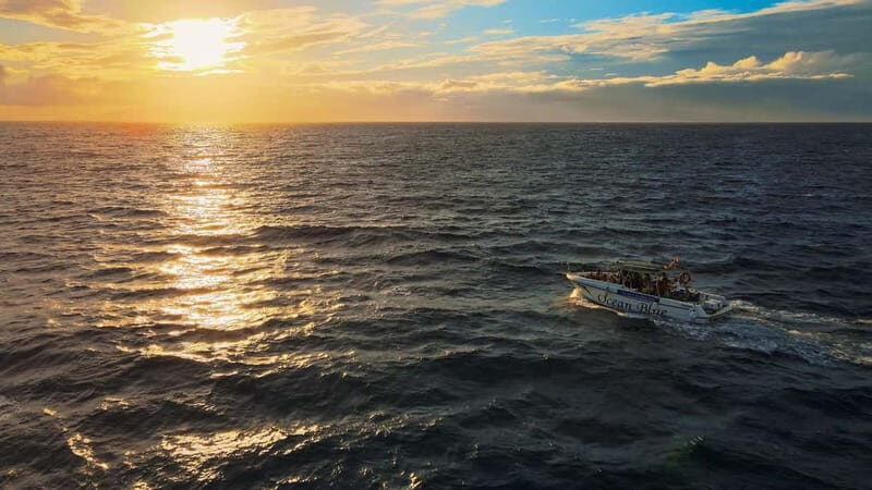 Private Charter Private Charter to see the whales - 3 Hours - FAQ
