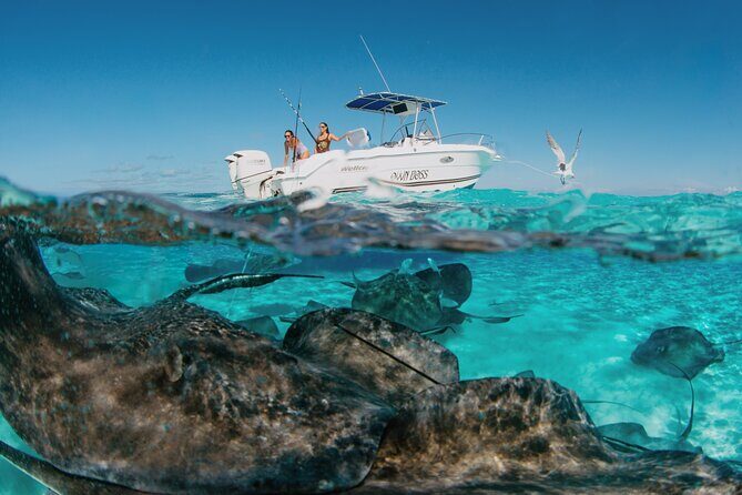Private Charter Reef fishing, Stingray City, Snorkel, Mangroves - Key Points