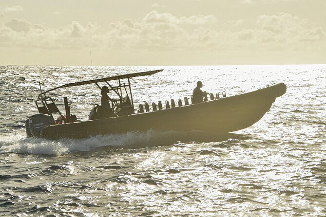 Private Charter Sunset Sailing Cruise W Drinks - The Experience: A Detailed Look at the Cruise