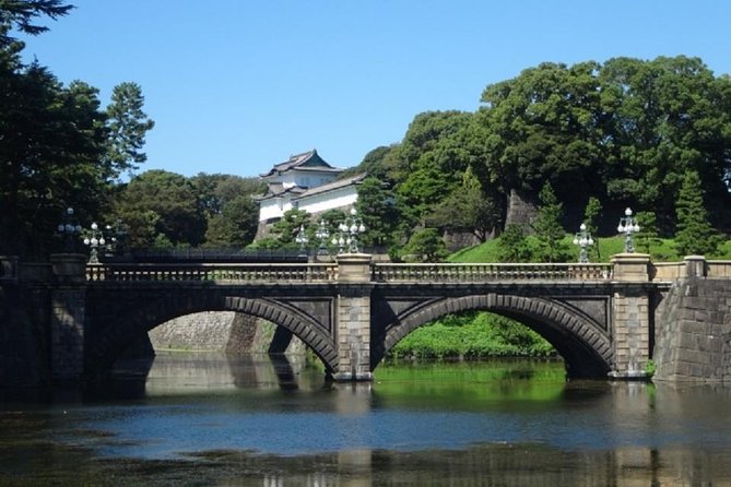 Private Chartered Taxi Tour of Tokyo - Meeting and Pickup