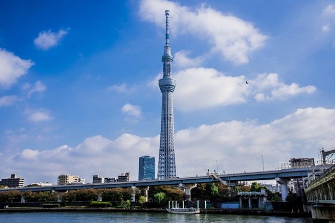 Private Chartered Taxi Tour of Tokyo - Highlights of the Tour