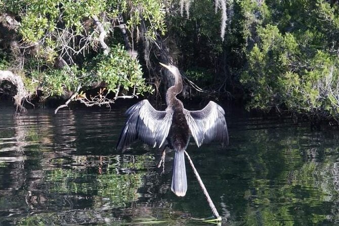 Private Chassahowitzka River Exploration Kayak Tour - Accessibility Features of the Tour