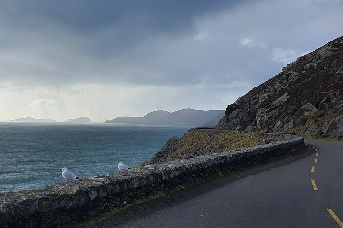 Private Chauffeur Service From Galway City to Dublin Airport - Who Will Benefit Most?