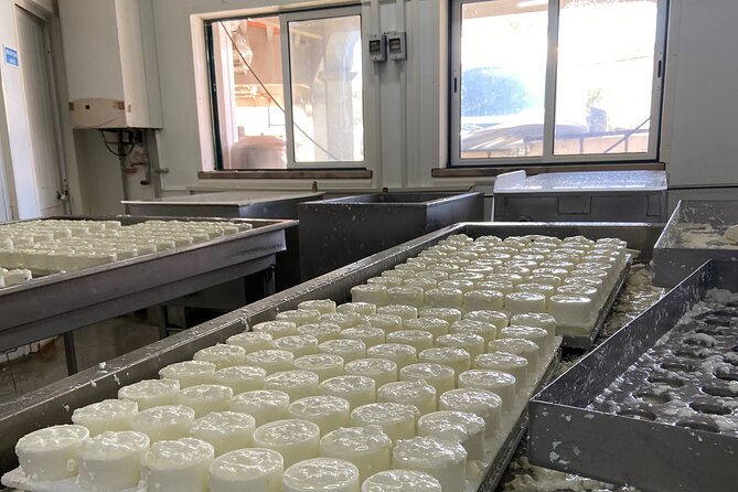 Private Cheese Factory Visit, Tile Painting and Wine Tasting Tour - Memorable Three-Part Experience
