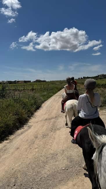 Private Chianti Horseback Riding Wine Tasting + Lunch - Exploring the Experience: A Step-by-Step Breakdown