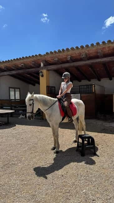 Private Chianti Horseback Riding Wine Tasting + Lunch - Who Will Love This Tour?