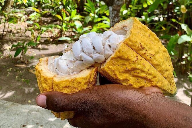 Private Chocolate Making Class - Frequently Asked Questions