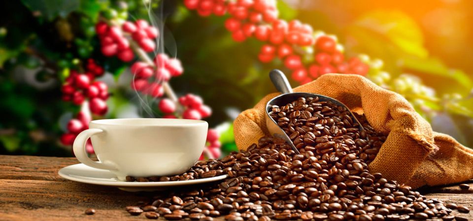 Private Chocolate Tour in Huayopata - Pricing and Booking