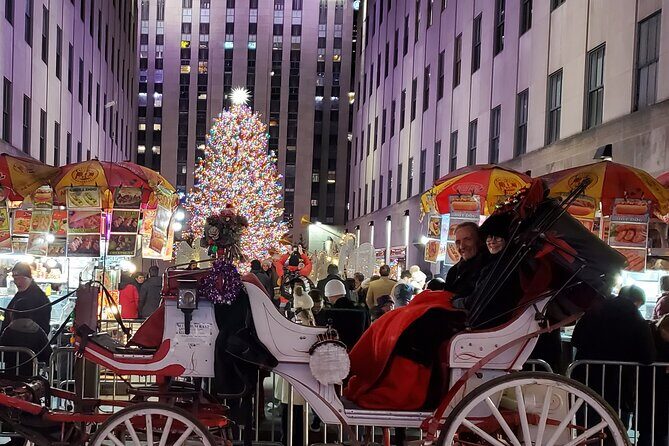 Private Christmas Lights Horse Carriage Tour In New York City - The Sum Up
